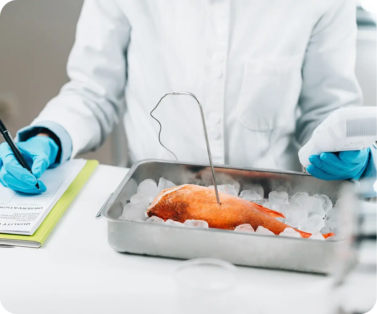 Formazione igiene alimentare igienstudio laboratorio analisi jesi
