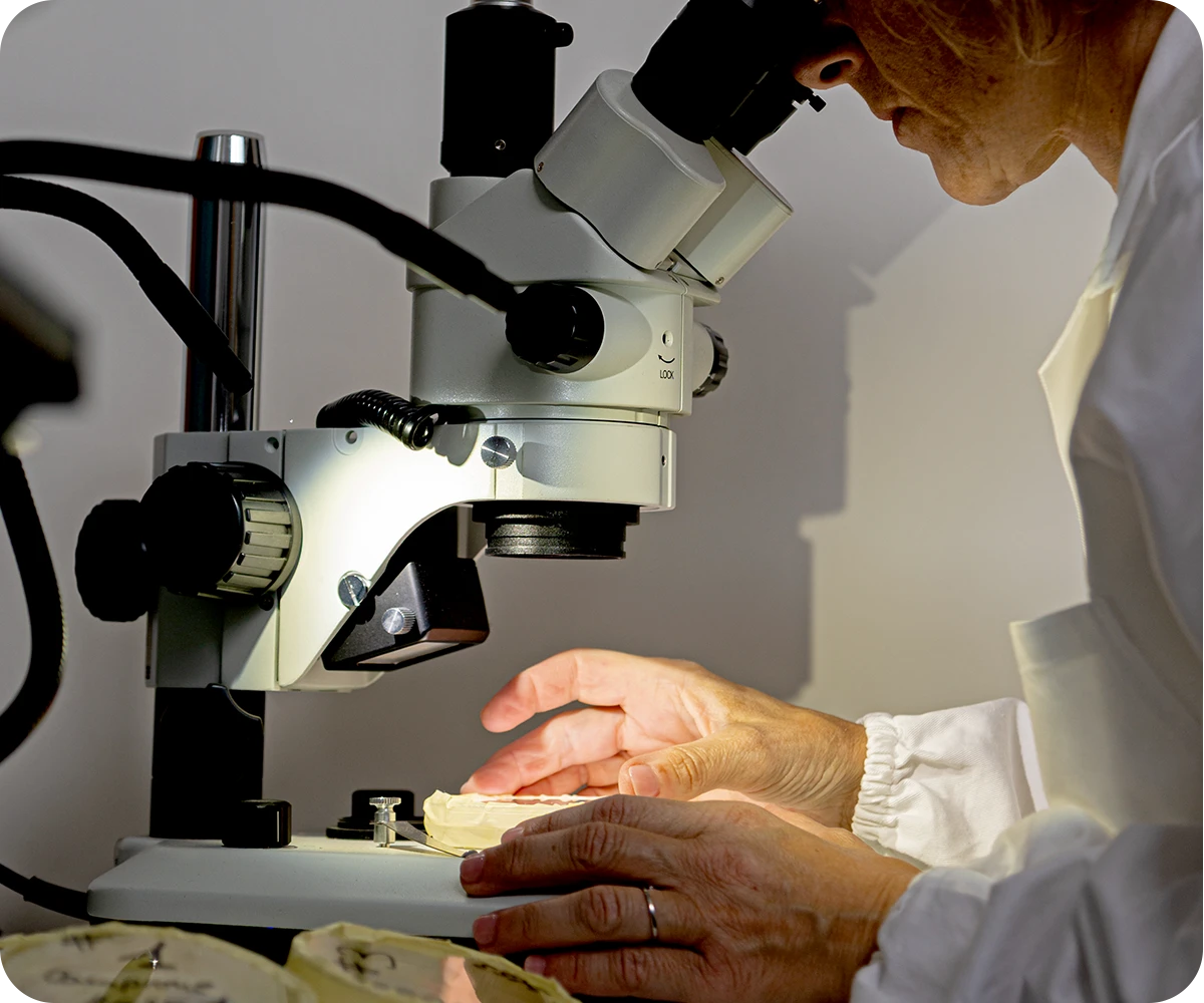analisi fibre amianto igienstudio laboratorio analisi jesi